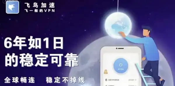 飞鸟加速器稳定可靠